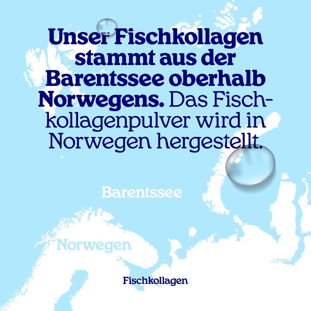 Fischkollagen Pulver