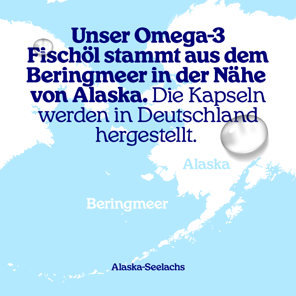 Fischöl Kapseln (groß)
