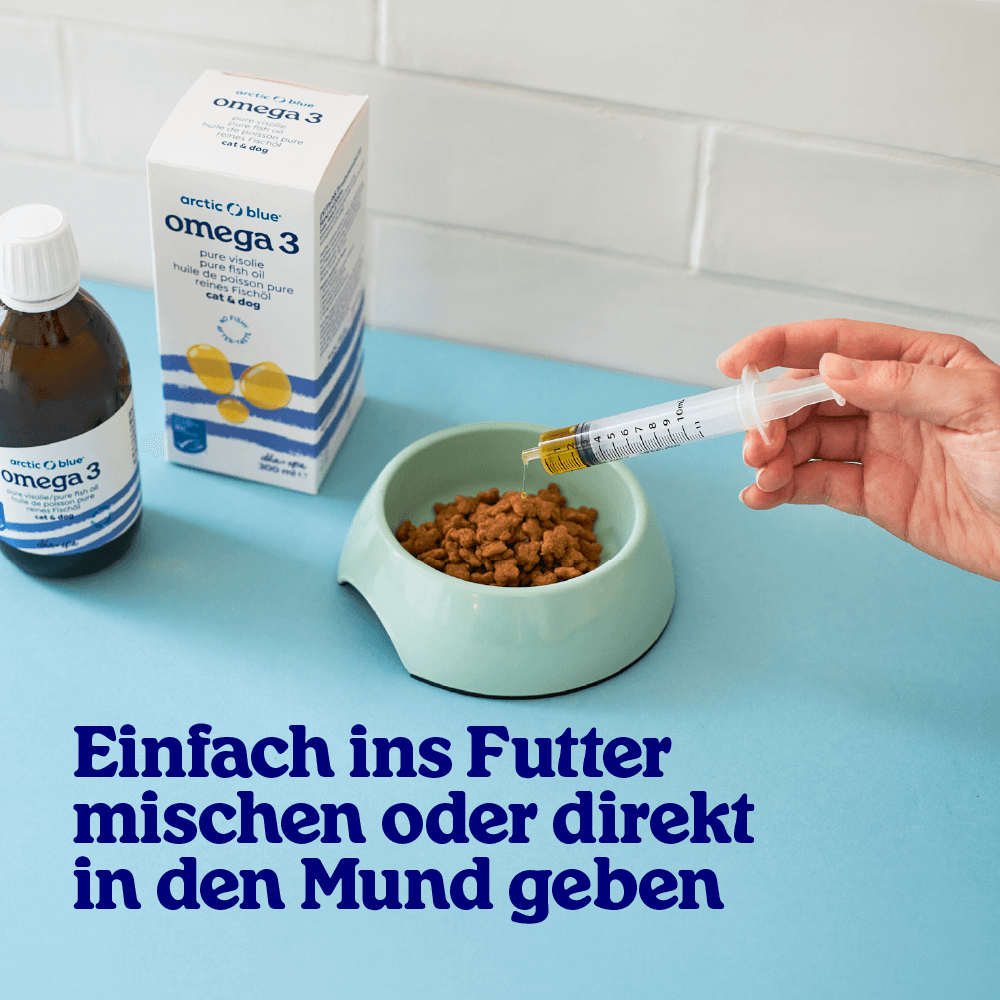 Fischöl für Hunde
