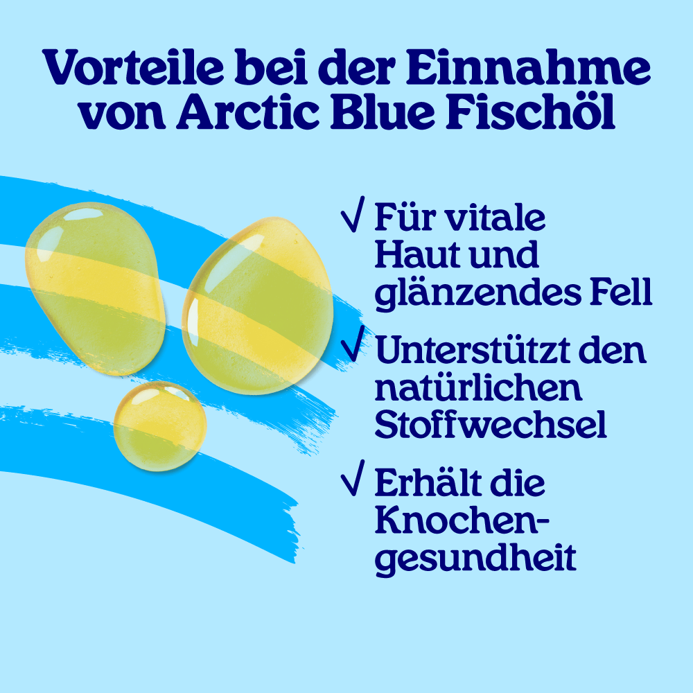 Fischöl für Hunde