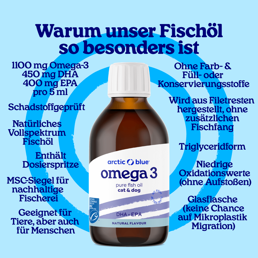 Fischöl für Hunde