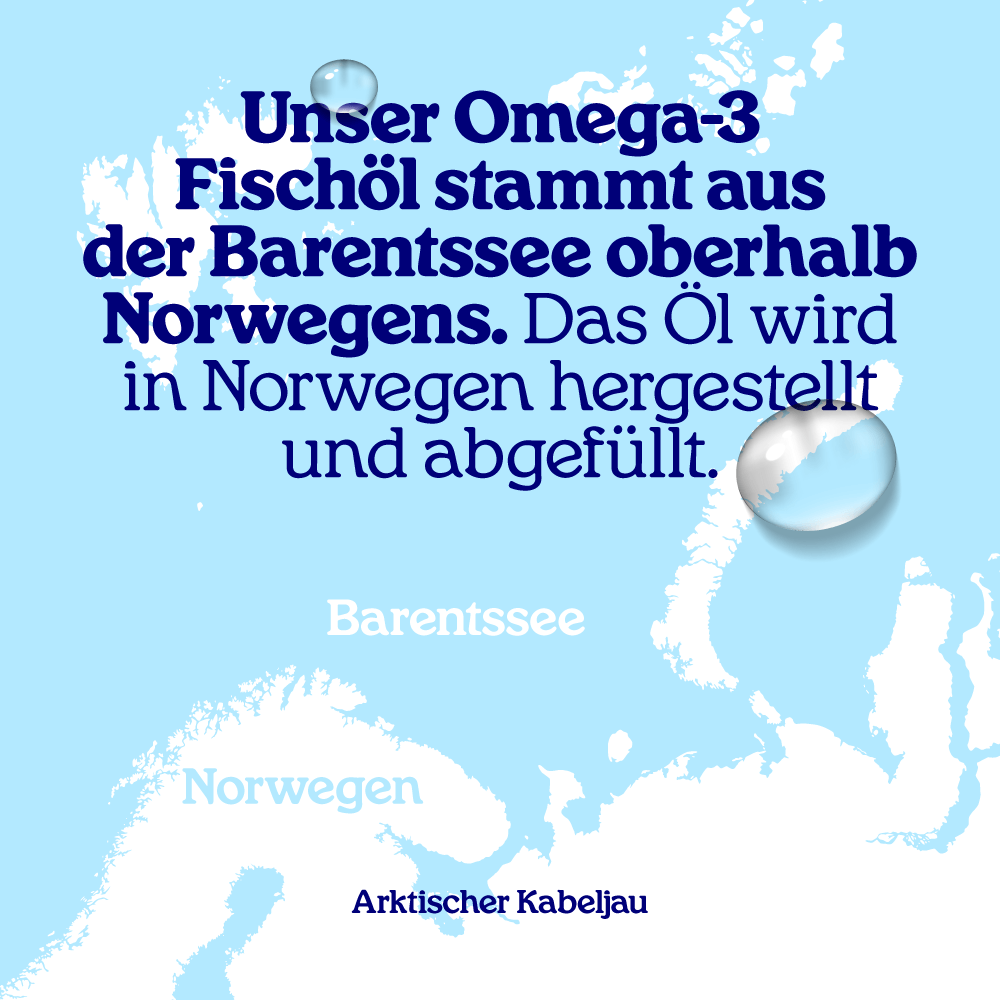 Fischöl für Hunde