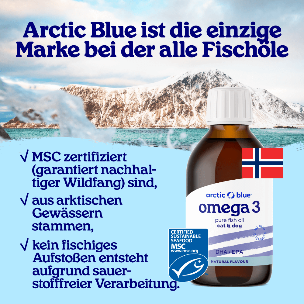 Fischöl für Hunde