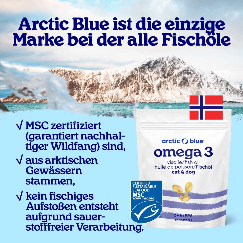 Fischöl Kapseln für Hunde