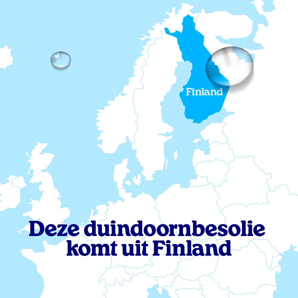 Duindoornbesolie