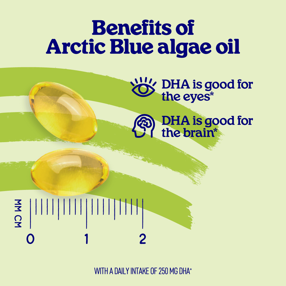 Algae Oil DHA Capsules