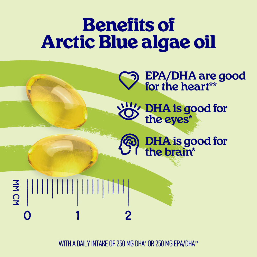 Algae Oil DHA and EPA Capsules