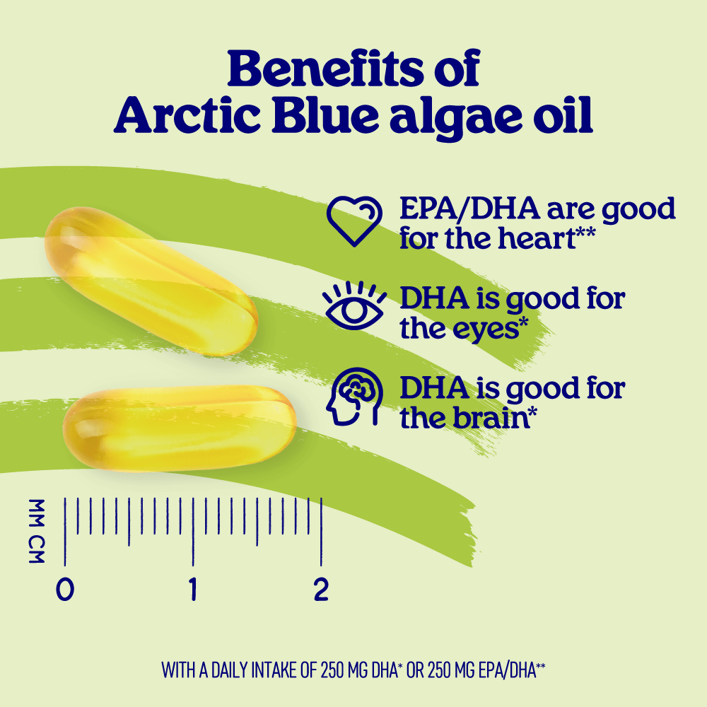 Algae Oil DHA and EPA Capsules (Large)
