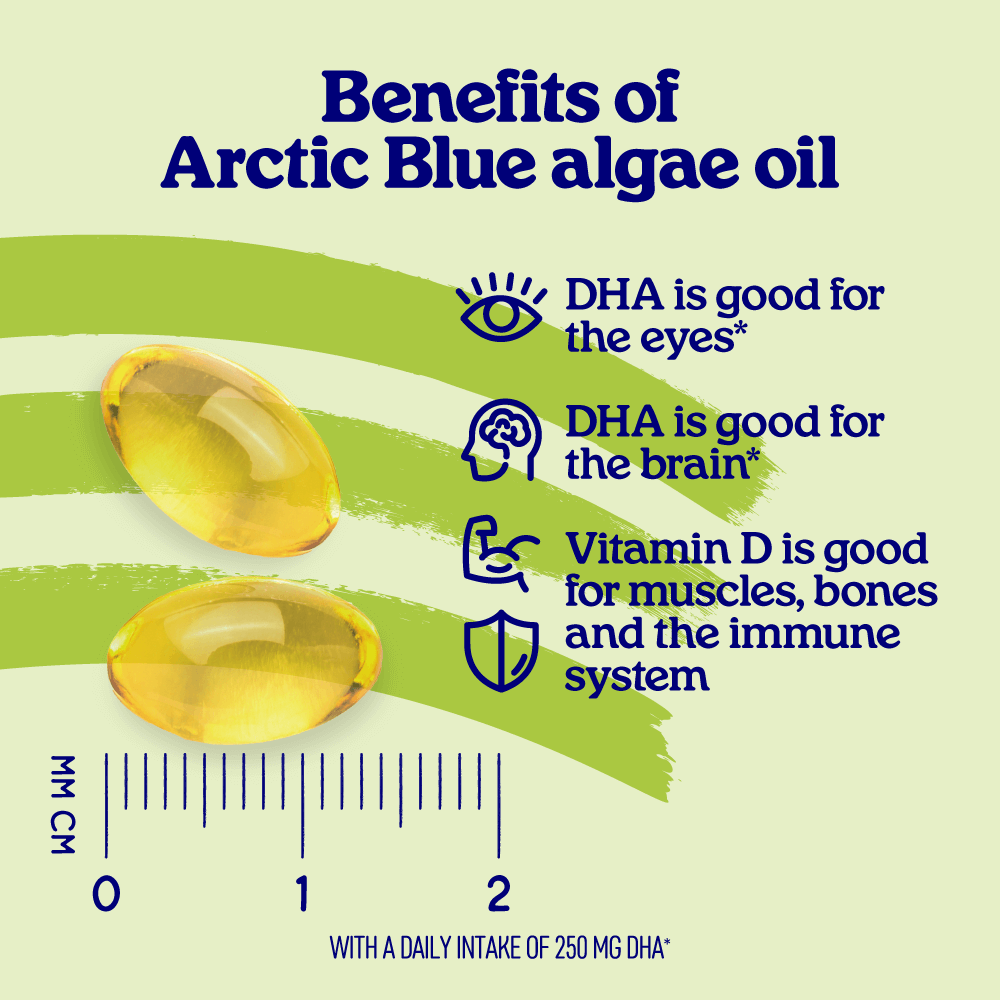 Algae Oil DHA with Vitamin D Capsules