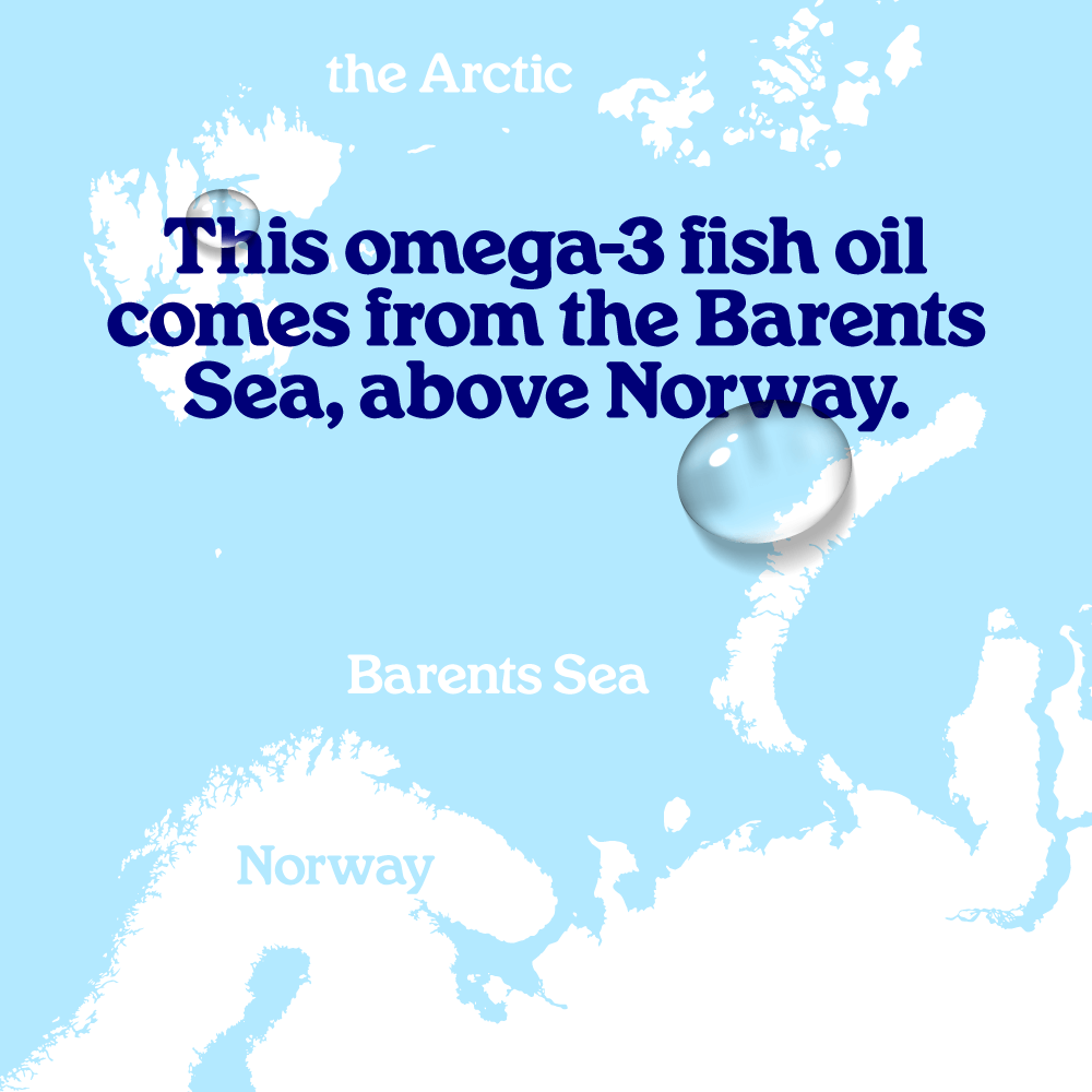 Pure Fish Oil (Natural Flavour)