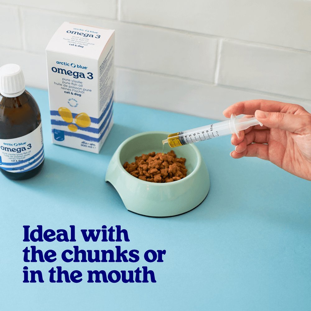 Fish Oil for Dogs