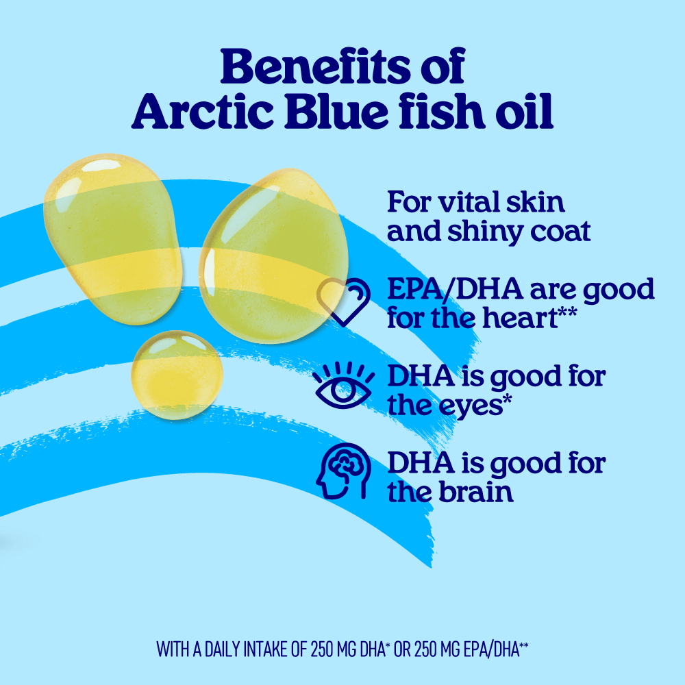 Fish Oil for Dogs