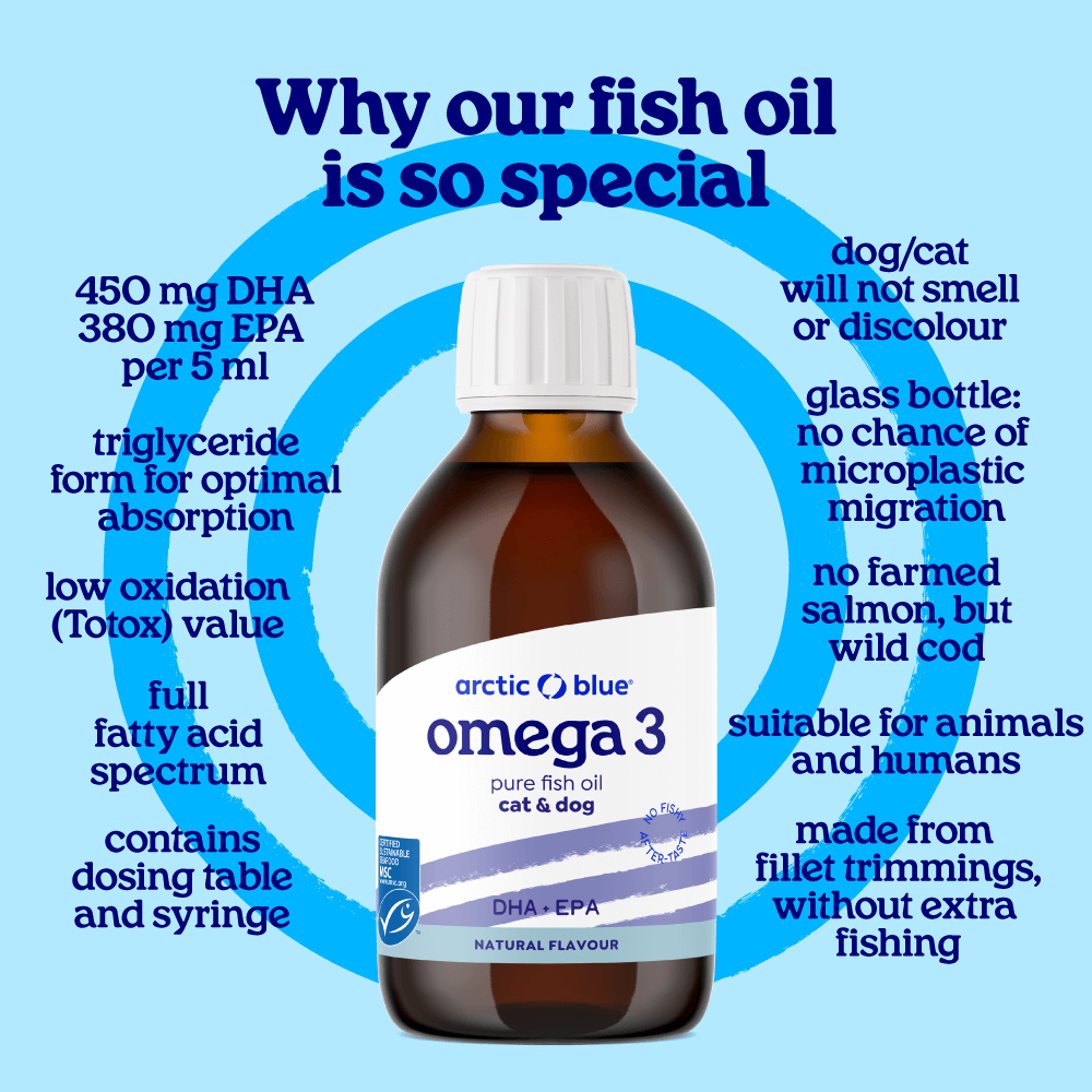 Fish Oil for Dogs