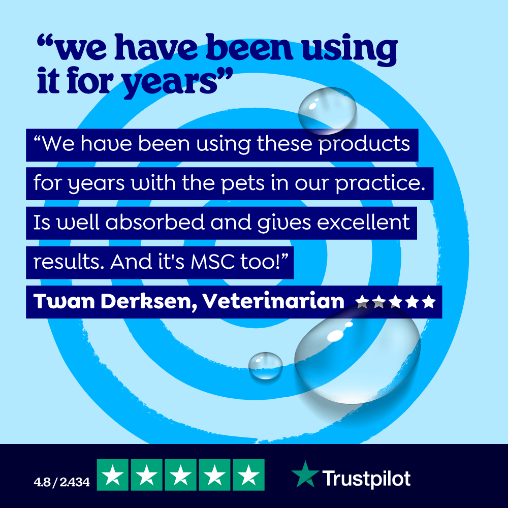 Fish Oil for Dogs