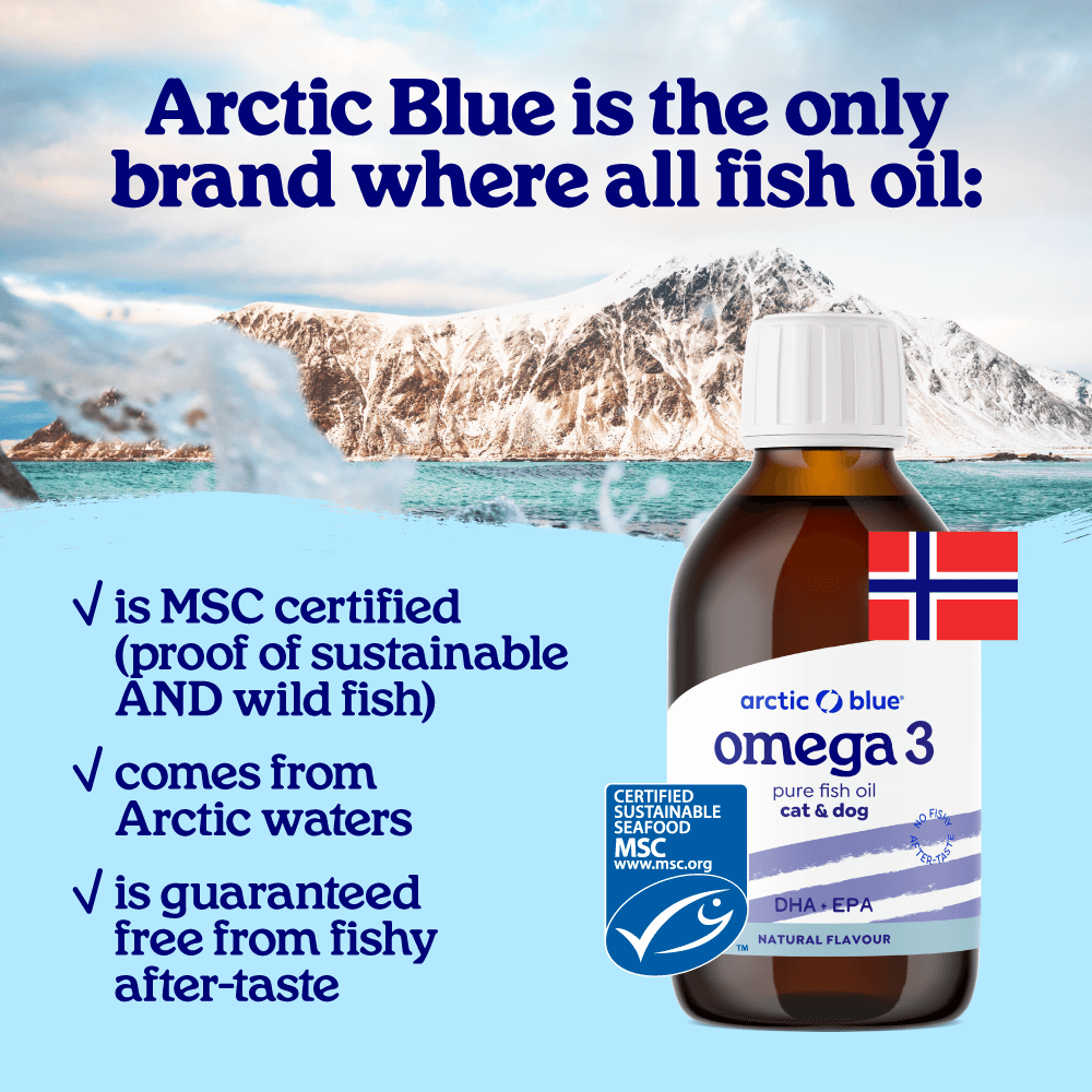 Fish Oil for Dogs