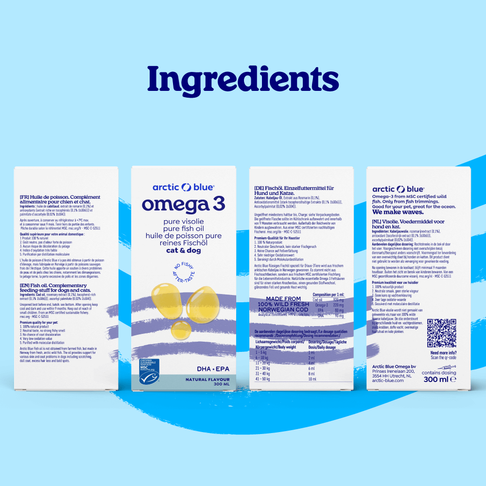 Fish Oil for Dogs