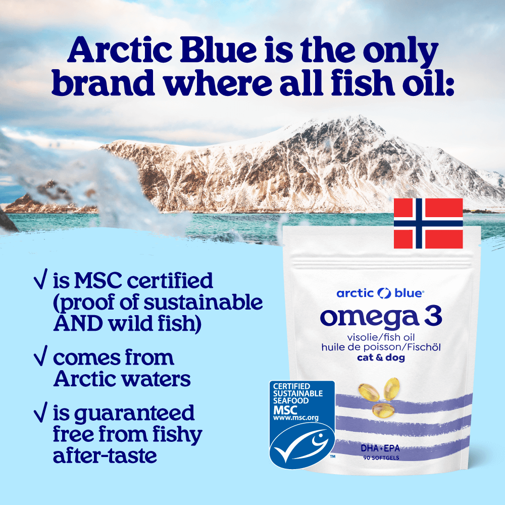 Fish Oil Capsules for Dogs