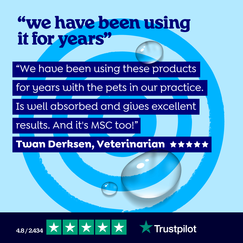 Fish Oil Capsules for Dogs