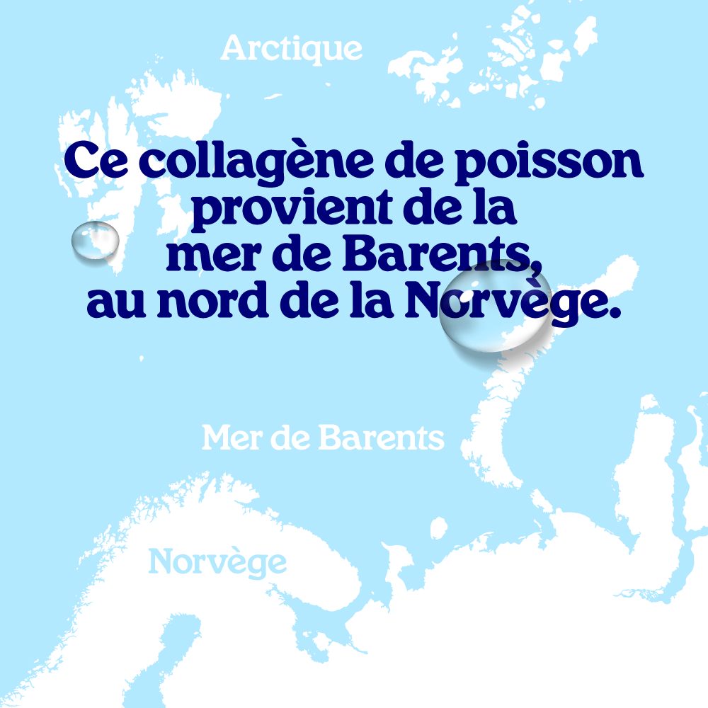 Collagène de poisson en poudre