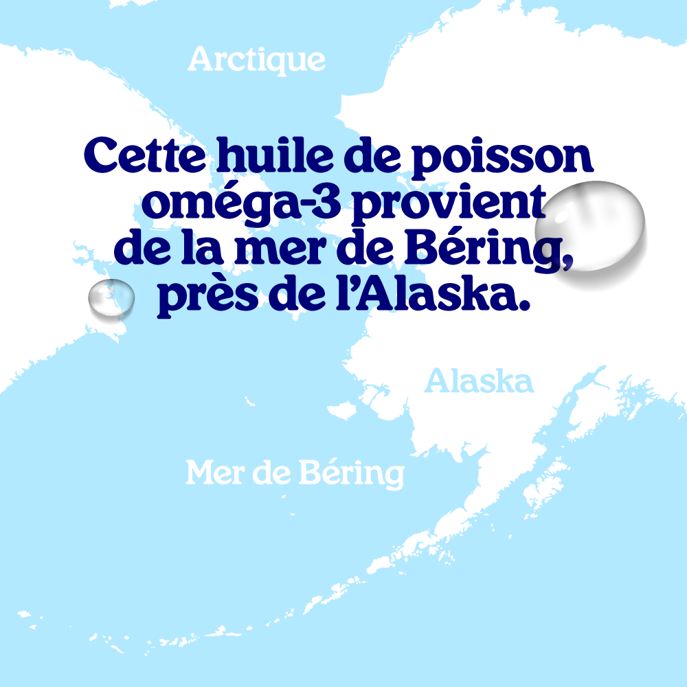 Huile de poisson riche en EPA DHA