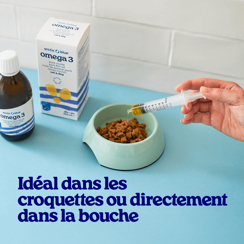 Huile de poisson pour chiens