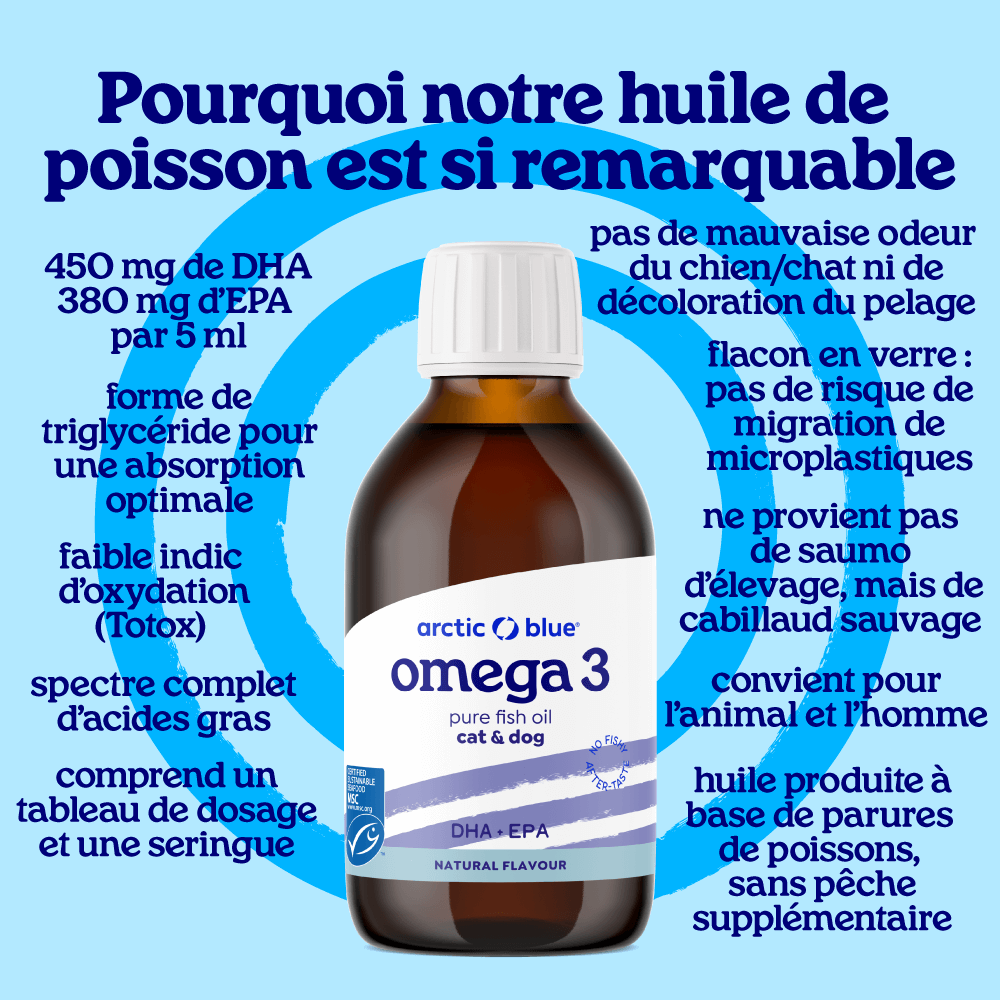 Huile de poisson pour chiens