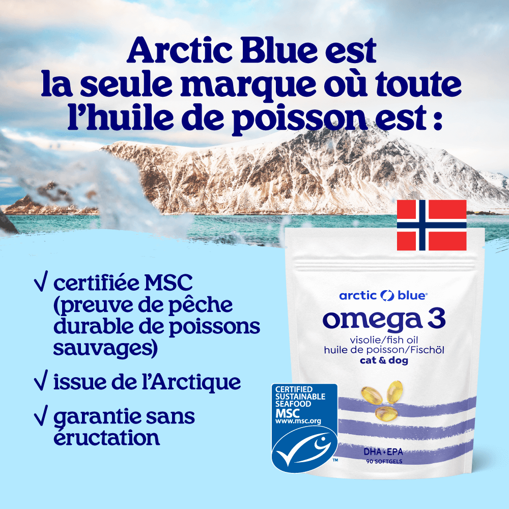 Capsules d'huile de poisson pour chiens