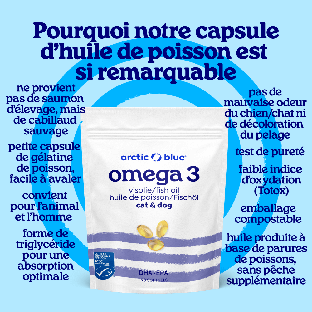 Capsules d'huile de poisson pour chiens