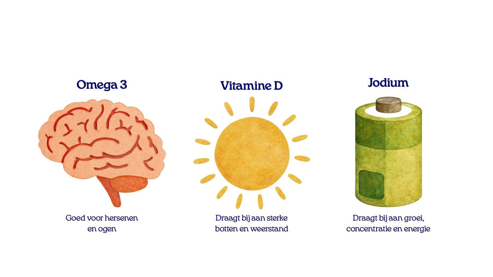 Illustratie van omega 3, vitamine D en jodium: goed voor hersenen en ogen, sterke botten en weerstand, en groei, concentratie en energie