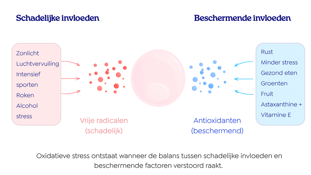 Illustratie van de balans tussen schadelijke invloeden zoals zonlicht, luchtvervuiling, roken en stress, en beschermende invloeden zoals rust, gezond eten en astaxanthine met vitamine E