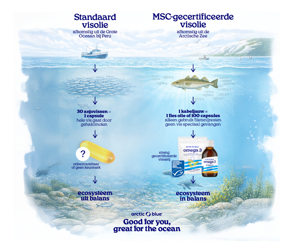 Infographic die standaard visolie uit de Grote Oceaan bij Peru vergelijkt met MSC-gecertificeerde visolie uit de Arctische Zee: 30 anjovissen per capsule tegenover een kabeljauw waarvan alleen filetsnijresten worden gebruikt