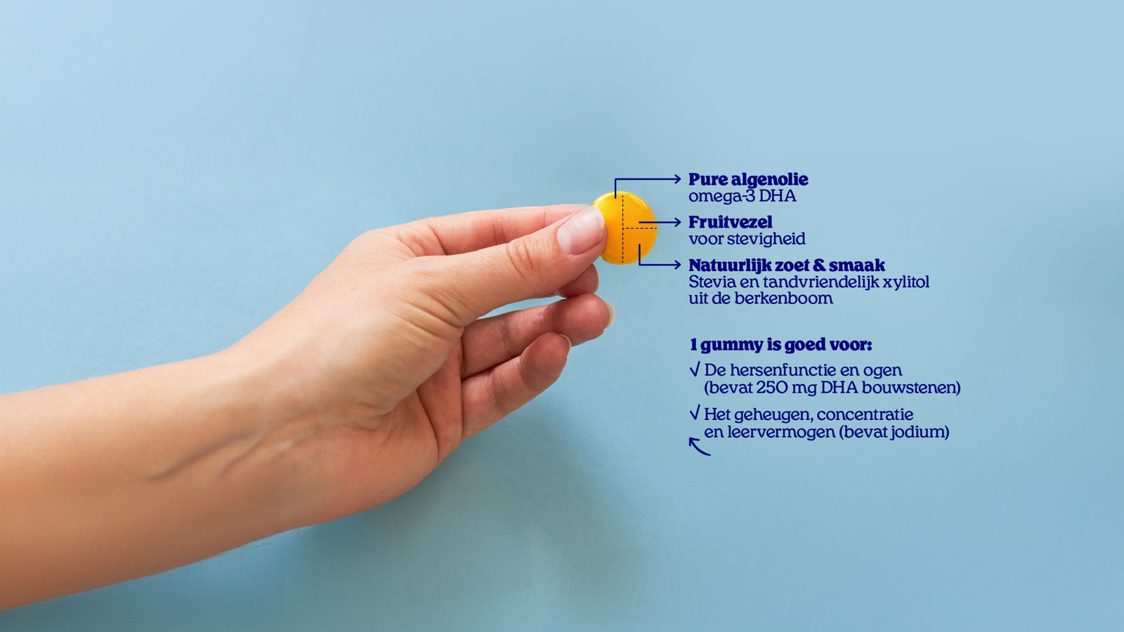 Hand houdt een gele Arctic Blue vegan gummy vast, met de samenstelling: pure algenolie met omega-3 DHA, fruitvezel voor stevigheid en natuurlijk zoet met stevia en xylitol