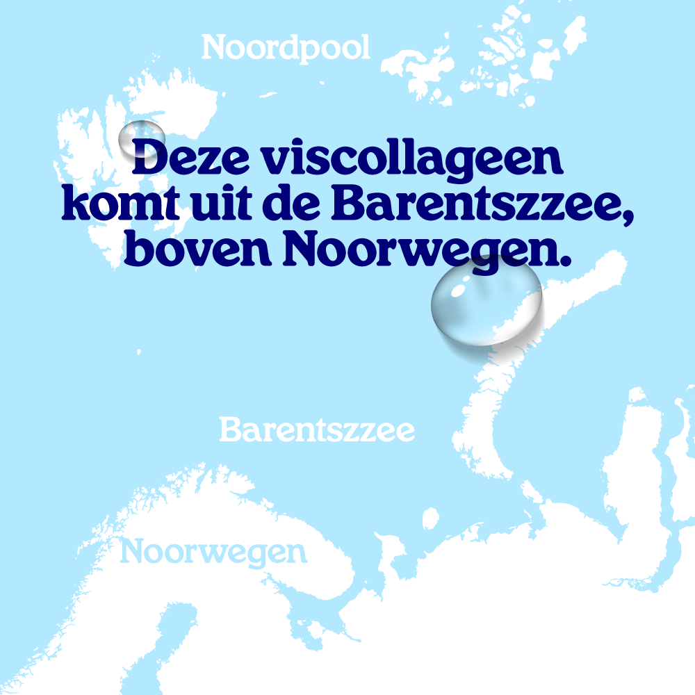 Viscollageen poeder