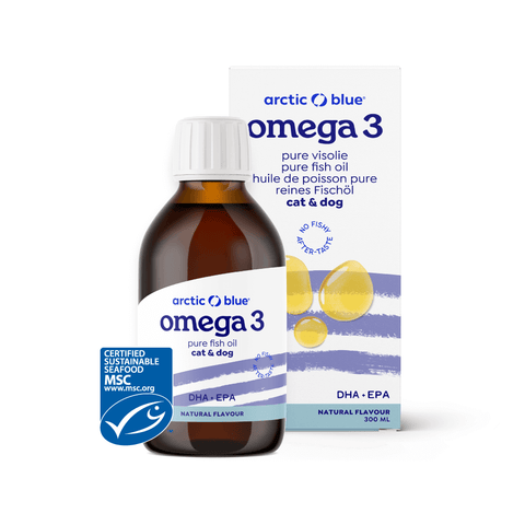 Fish Oil for Dogs