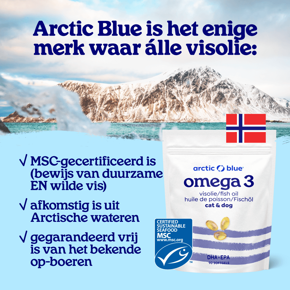 Visolie Hond capsules