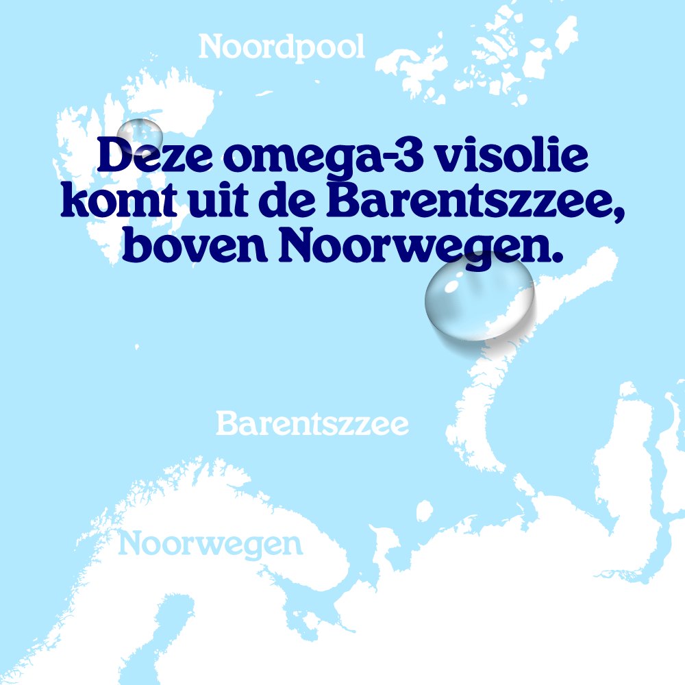 Visolie Hond capsules
