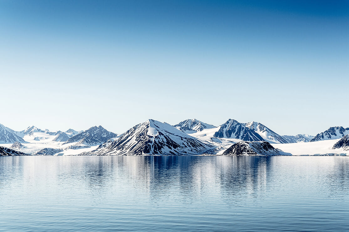 About Arctic Blue